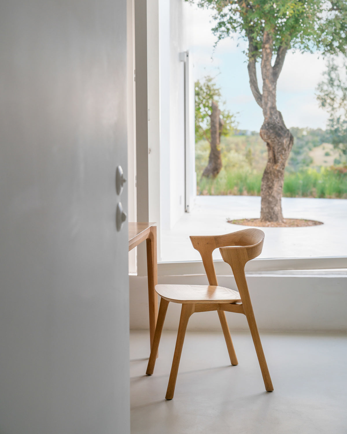 Ethnicraft - Bok Dining Chair (Indoor &amp; Outdoor versions)