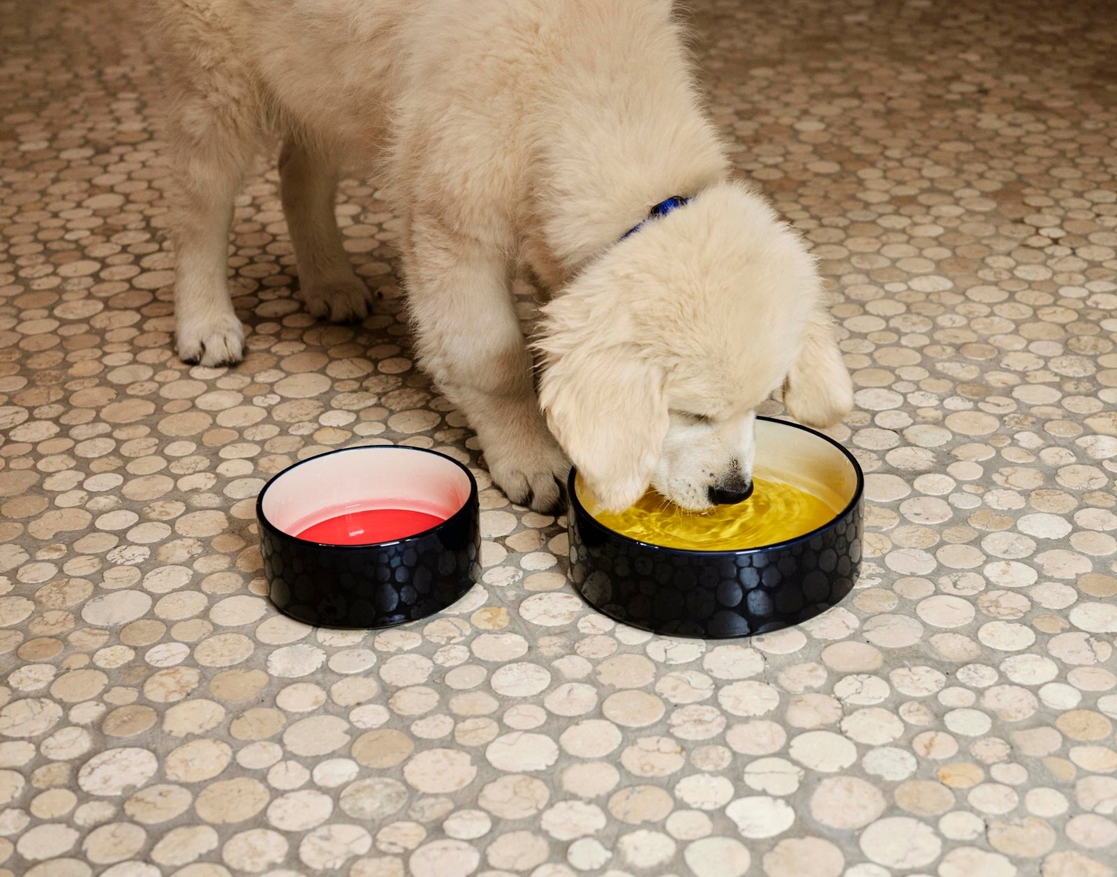 HAY - Dogs Bowl