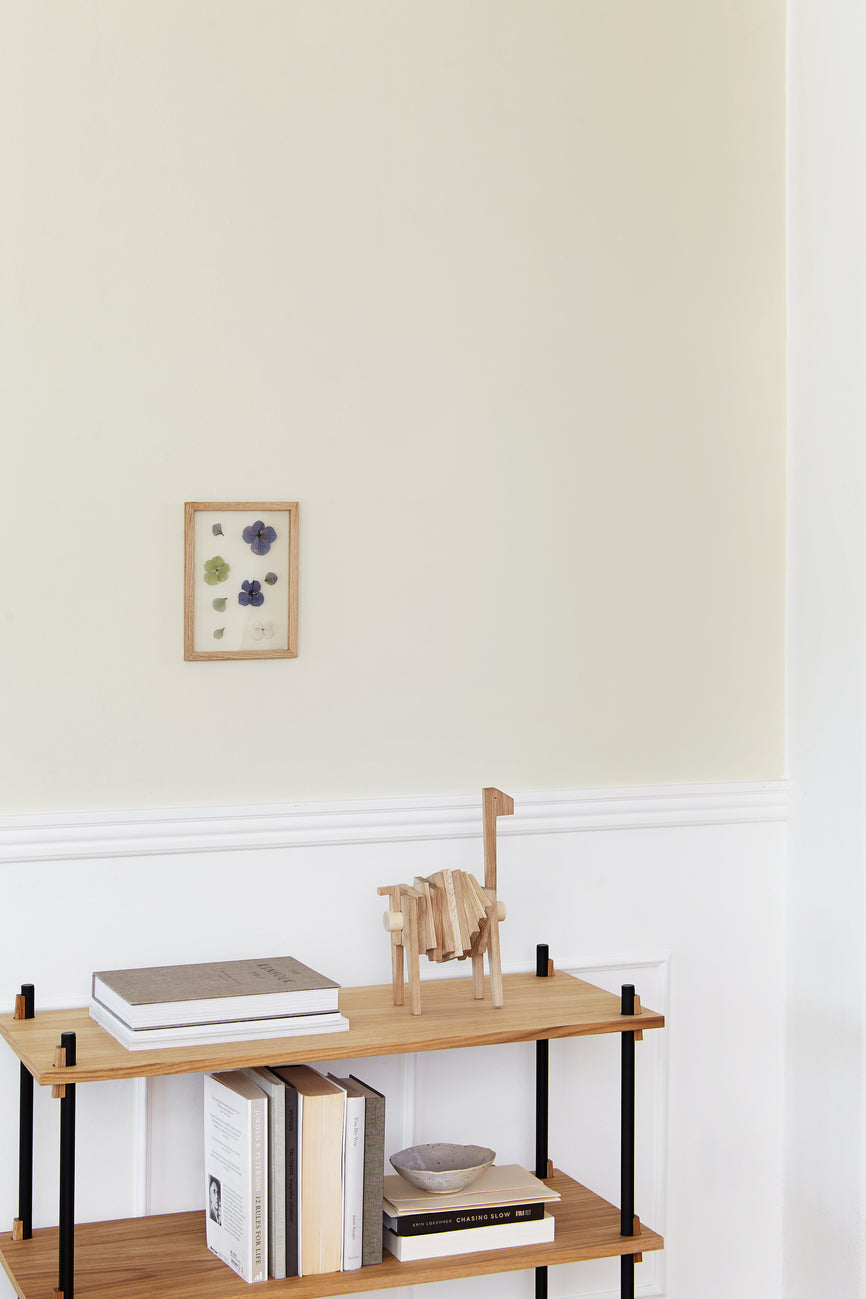 MOEBE - Shelving System – s.65.1.A