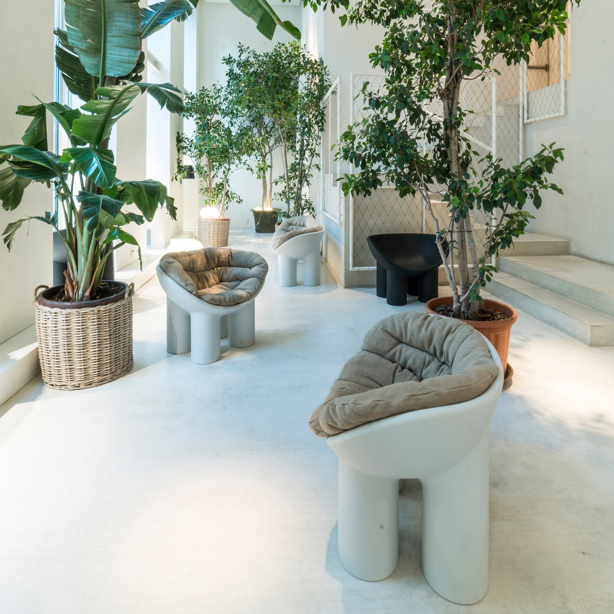 Driade - Roly Poly Chair