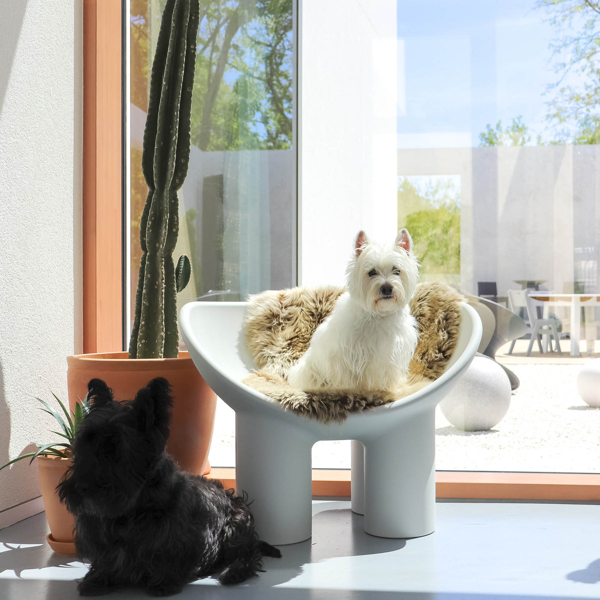 Driade - Roly Poly Chair